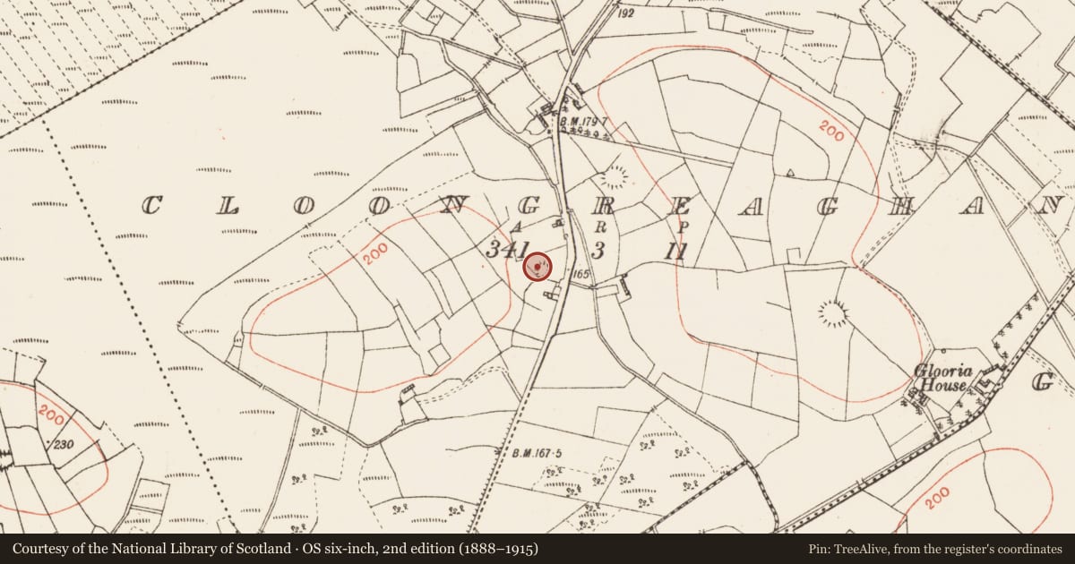 Ordnance Survey six-inch map, 2nd edition (1888–1915) covering the location of Enclosure, Cloongreaghan, County Roscommon, with a pin at the register's coordinates
