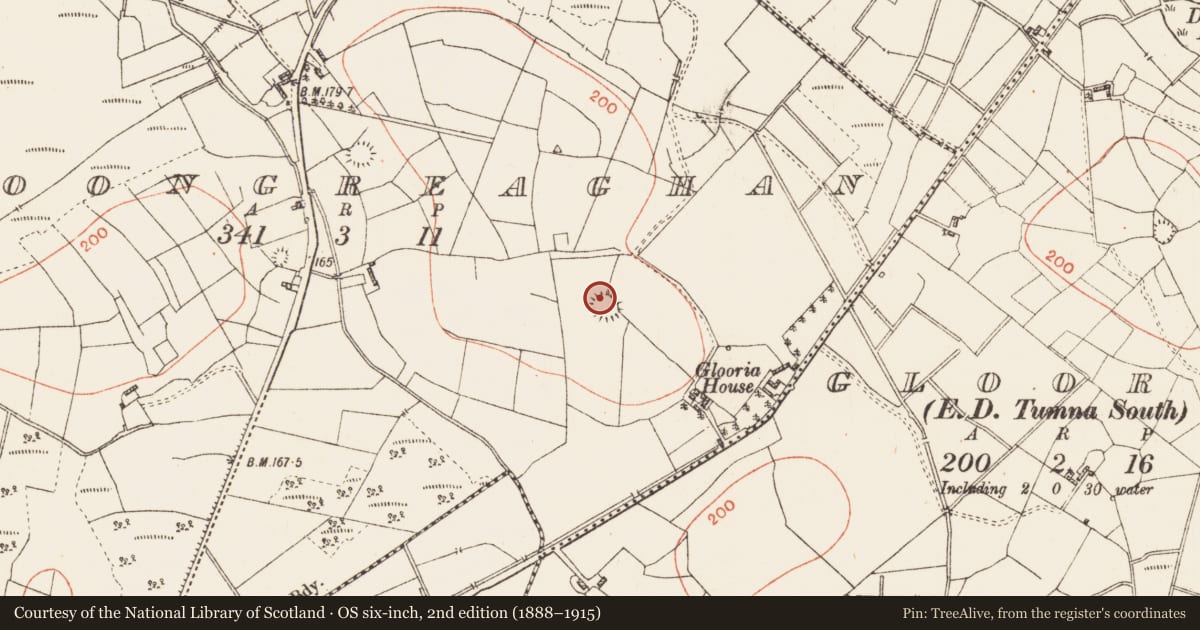 Ordnance Survey six-inch map, 2nd edition (1888–1915) covering the location of Ringfort - rath, Cloongreaghan, County Roscommon, with a pin at the register's coordinates