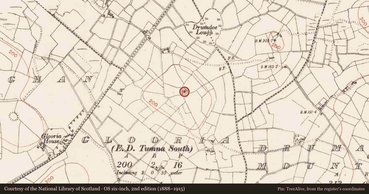 Ordnance Survey six-inch map, 2nd edition (1888–1915) covering the location of Ringfort - rath, Glooria, County Roscommon, with a pin at the register's coordinates