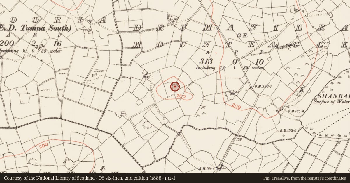 Ordnance Survey six-inch map, 2nd edition (1888–1915) covering the location of Ringfort - rath, Drumanilra Or Mounteagle, County Roscommon, with a pin at the register's coordinates