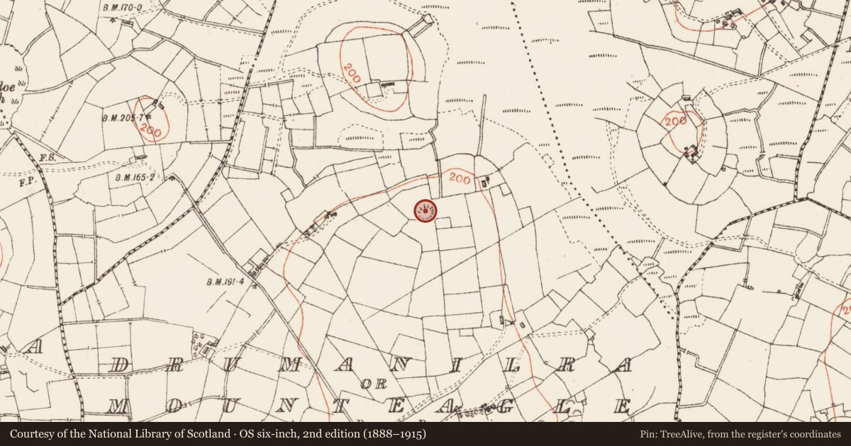 Ordnance Survey six-inch map, 2nd edition (1888–1915) covering the location of Ringfort - rath, Drumanilra Or Mounteagle, County Roscommon, with a pin at the register's coordinates