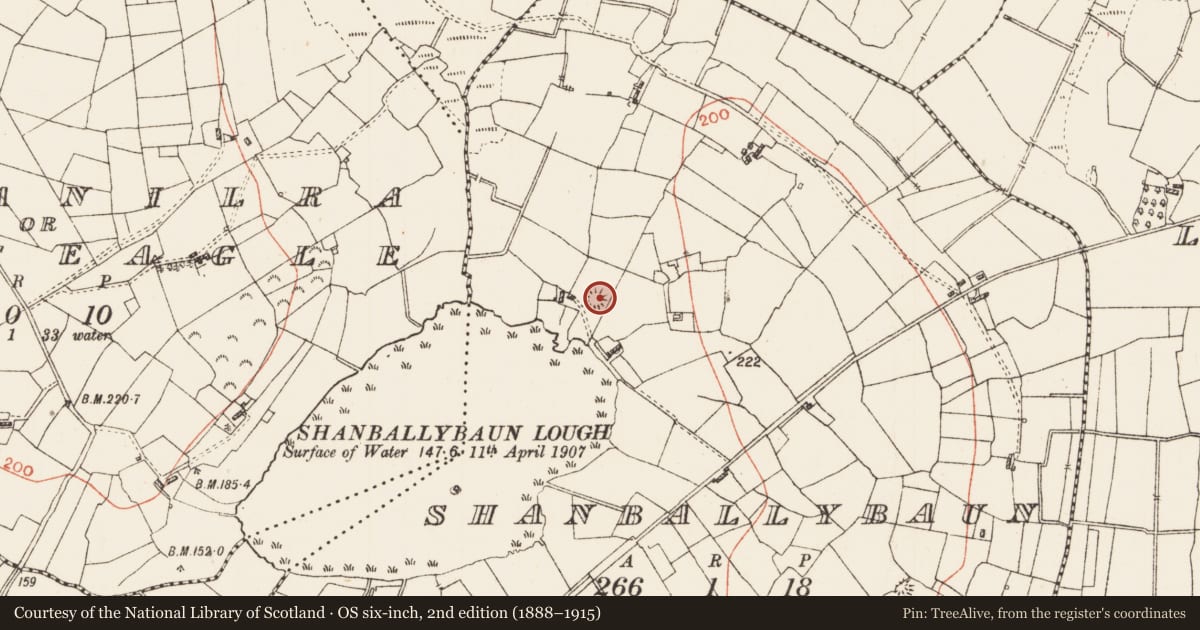 Ordnance Survey six-inch map, 2nd edition (1888–1915) covering the location of Enclosure, Shanballybaun, County Roscommon, with a pin at the register's coordinates