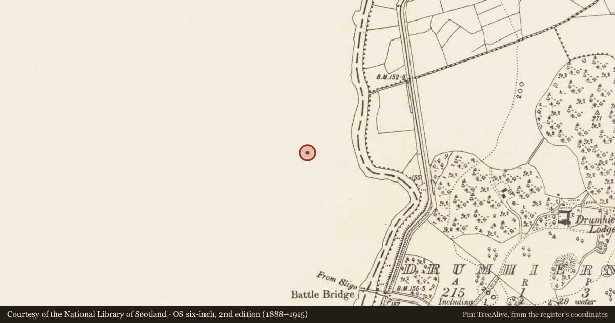 Ordnance Survey six-inch map, 2nd edition (1888–1915) covering the location of Canal, County Roscommon, with a pin at the register's coordinates