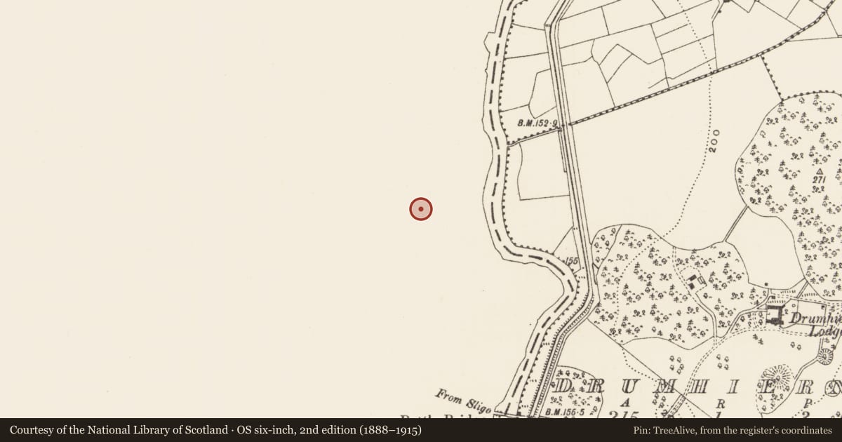 Ordnance Survey six-inch map, 2nd edition (1888–1915) covering the location of Road - road/trackway, Lurga, Lustia, County Roscommon, with a pin at the register's coordinates