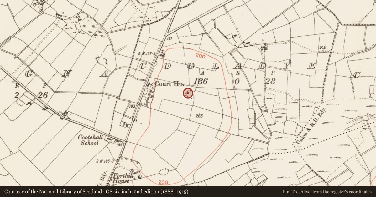 Ordnance Survey six-inch map, 2nd edition (1888–1915) covering the location of Ringfort - rath, Cooladye, County Roscommon, with a pin at the register's coordinates