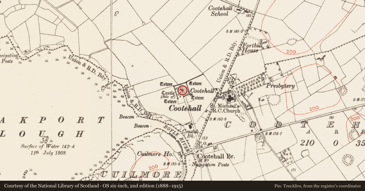 Ordnance Survey six-inch map, 2nd edition (1888–1915) covering the location of Bawn, Clegna, County Roscommon, with a pin at the register's coordinates