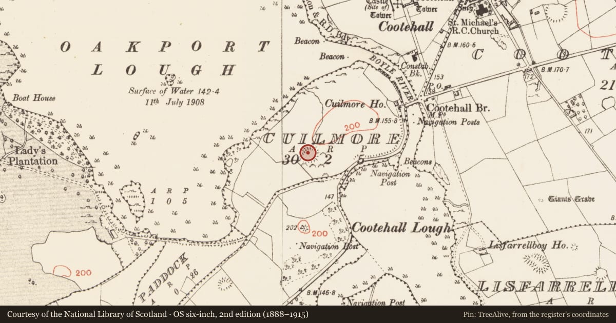 Ordnance Survey six-inch map, 2nd edition (1888–1915) covering the location of Ringfort - rath, Cuilmore, County Roscommon, with a pin at the register's coordinates