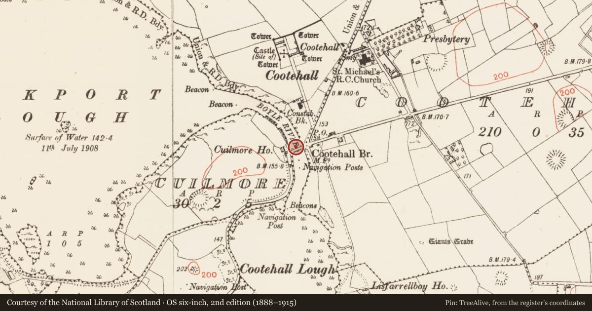 Ordnance Survey six-inch map, 2nd edition (1888–1915) covering the location of Bridge, Cootehall, Cuilmore, County Roscommon, with a pin at the register's coordinates