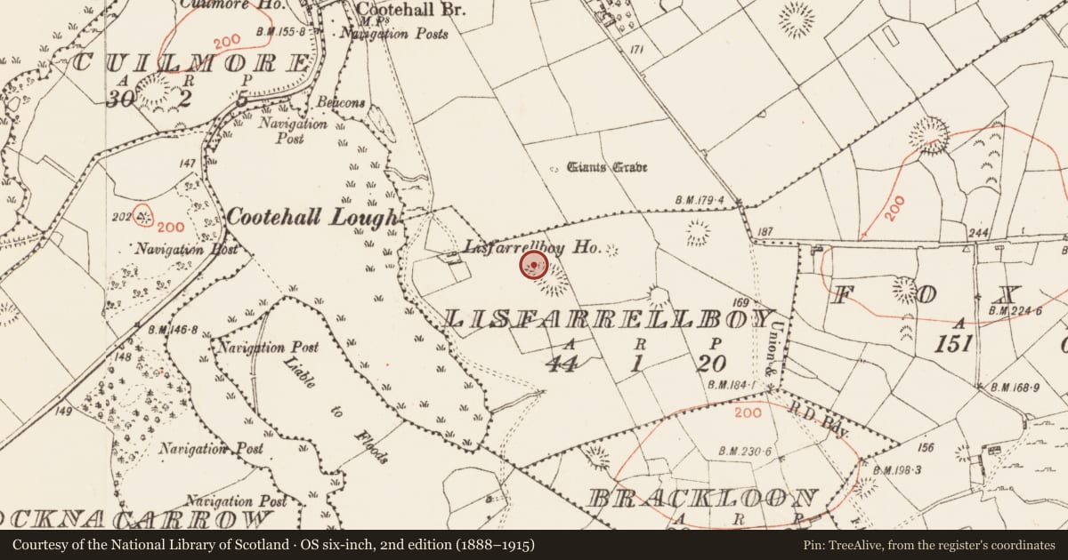Ordnance Survey six-inch map, 2nd edition (1888–1915) covering the location of Ringfort - rath, Lisfarrellboy, County Roscommon, with a pin at the register's coordinates