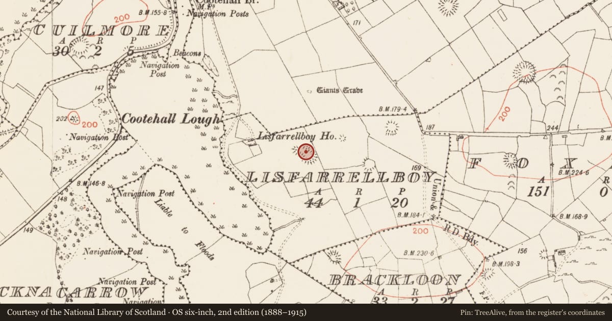 Ordnance Survey six-inch map, 2nd edition (1888–1915) covering the location of Ringfort - rath, Lisfarrellboy, County Roscommon, with a pin at the register's coordinates