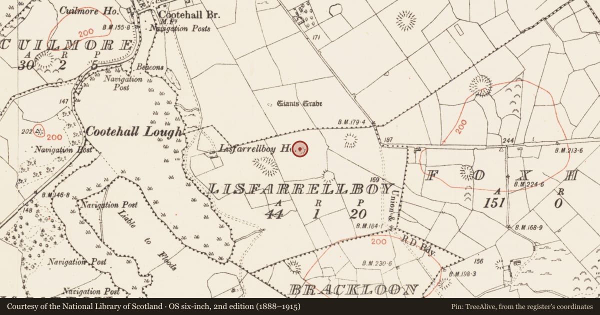 Ordnance Survey six-inch map, 2nd edition (1888–1915) covering the location of Enclosure, Lisfarrellboy, County Roscommon, with a pin at the register's coordinates