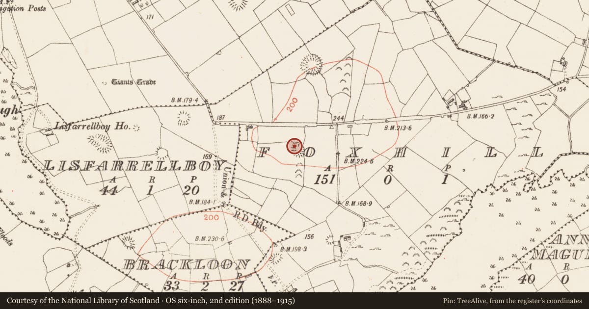 Ordnance Survey six-inch map, 2nd edition (1888–1915) covering the location of Ringfort - rath, Foxhill, County Roscommon, with a pin at the register's coordinates