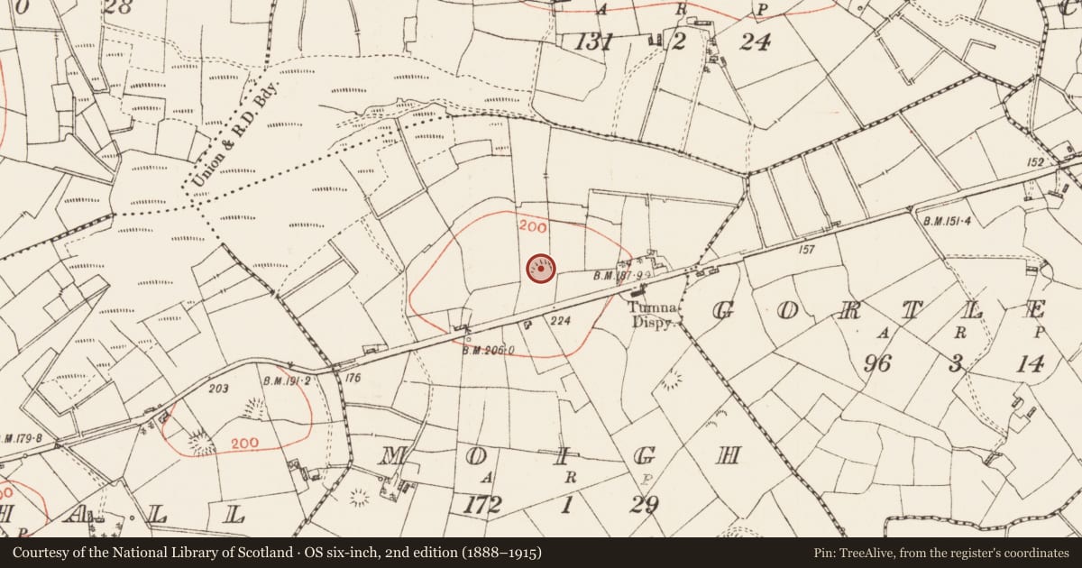 Ordnance Survey six-inch map, 2nd edition (1888–1915) covering the location of Ringfort - rath, Moigh, County Roscommon, with a pin at the register's coordinates