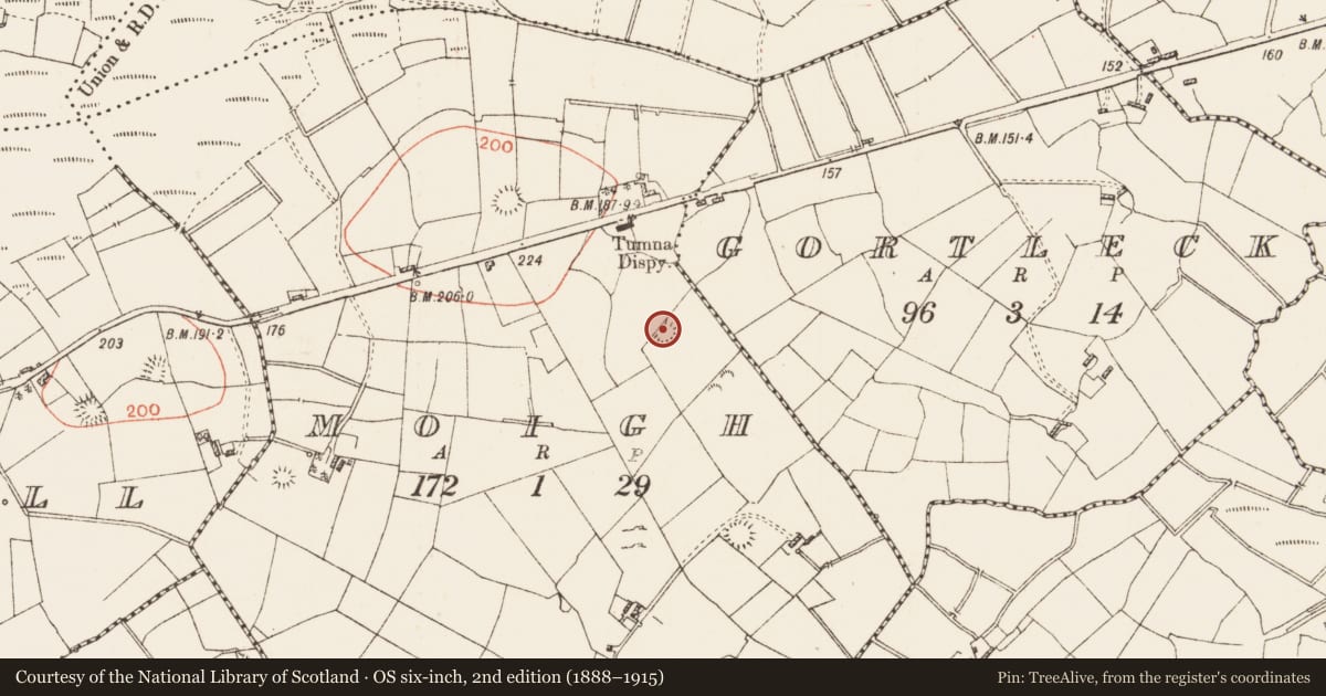 Ordnance Survey six-inch map, 2nd edition (1888–1915) covering the location of Ringfort - rath, Moigh, County Roscommon, with a pin at the register's coordinates