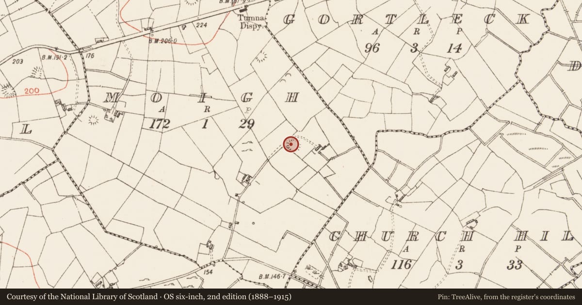 Ordnance Survey six-inch map, 2nd edition (1888–1915) covering the location of Ringfort - cashel, Moigh, County Roscommon, with a pin at the register's coordinates
