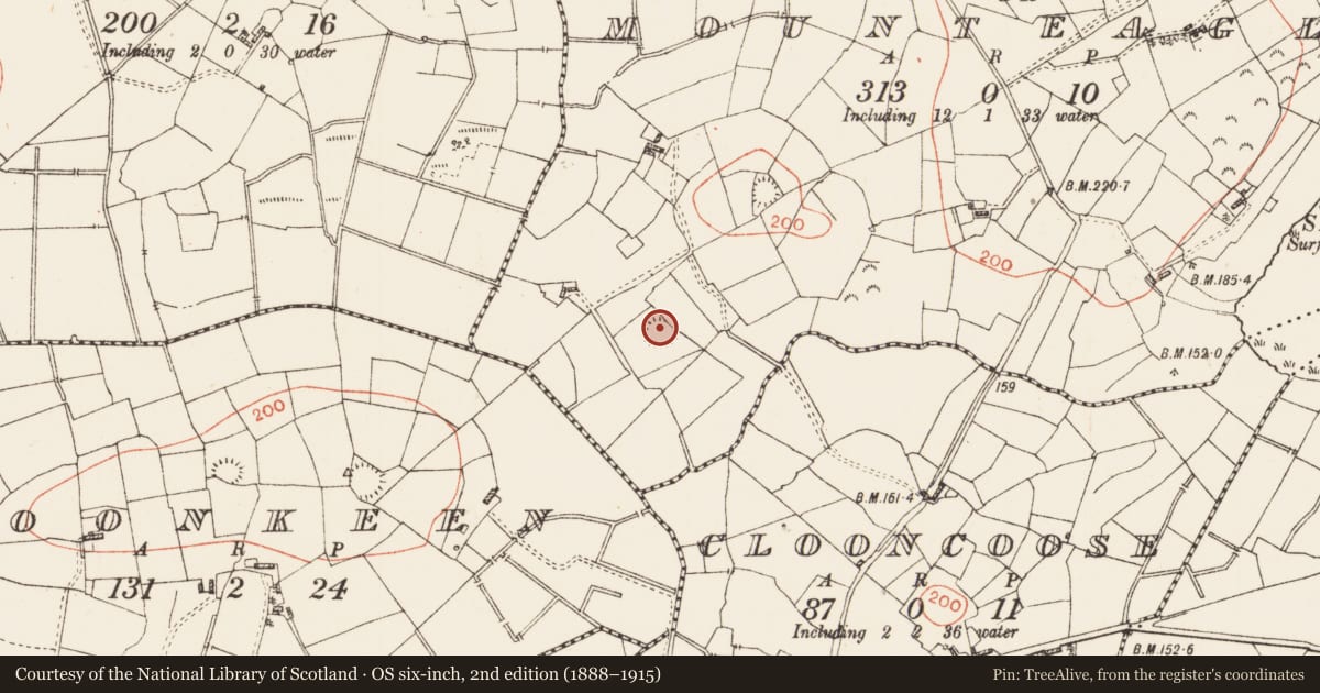 Ordnance Survey six-inch map, 2nd edition (1888–1915) covering the location of Ringfort - rath, Drumanilra Or Mounteagle, County Roscommon, with a pin at the register's coordinates