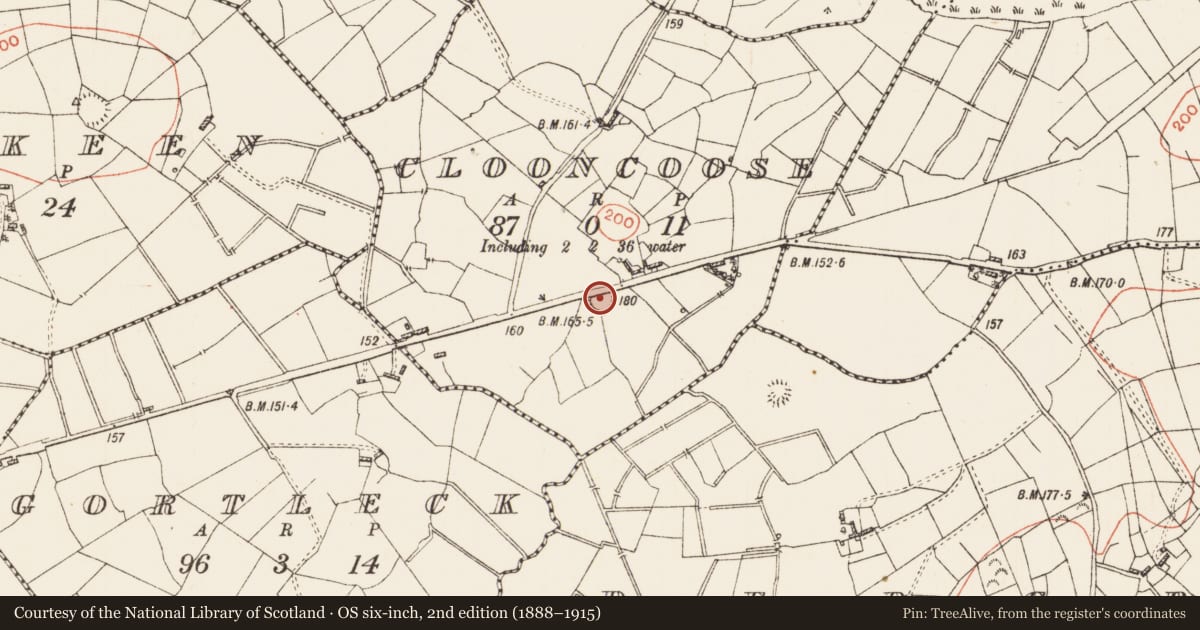 Ordnance Survey six-inch map, 2nd edition (1888–1915) covering the location of Ringfort - rath, Clooncoose, County Roscommon, with a pin at the register's coordinates