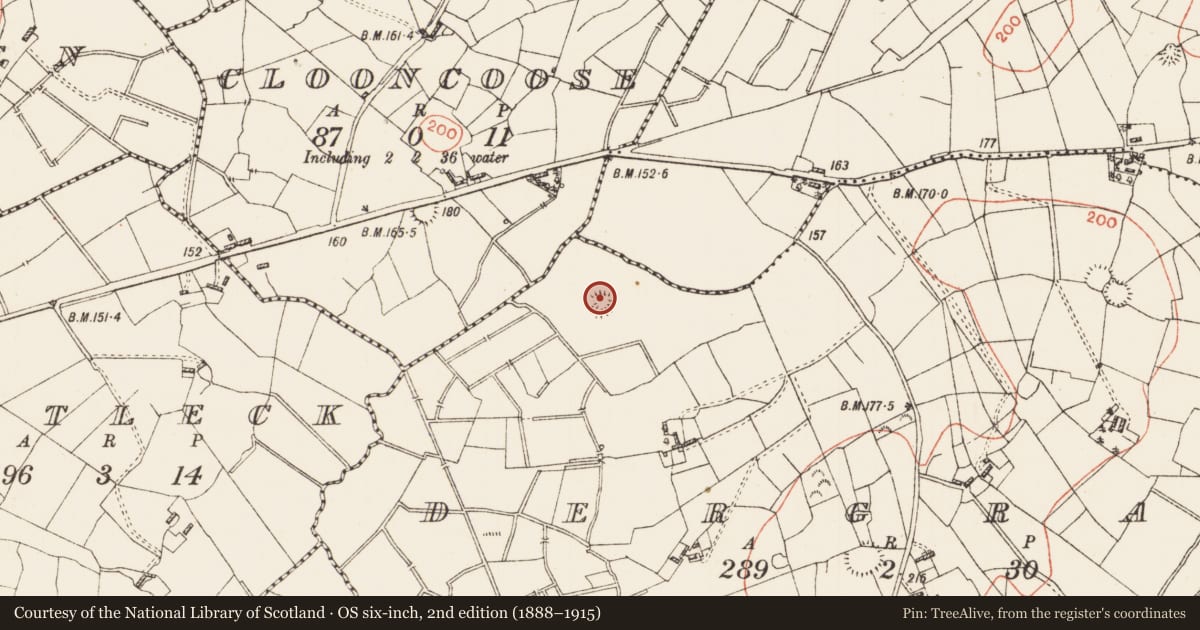 Ordnance Survey six-inch map, 2nd edition (1888–1915) covering the location of Ringfort - rath, Dergraw, County Roscommon, with a pin at the register's coordinates