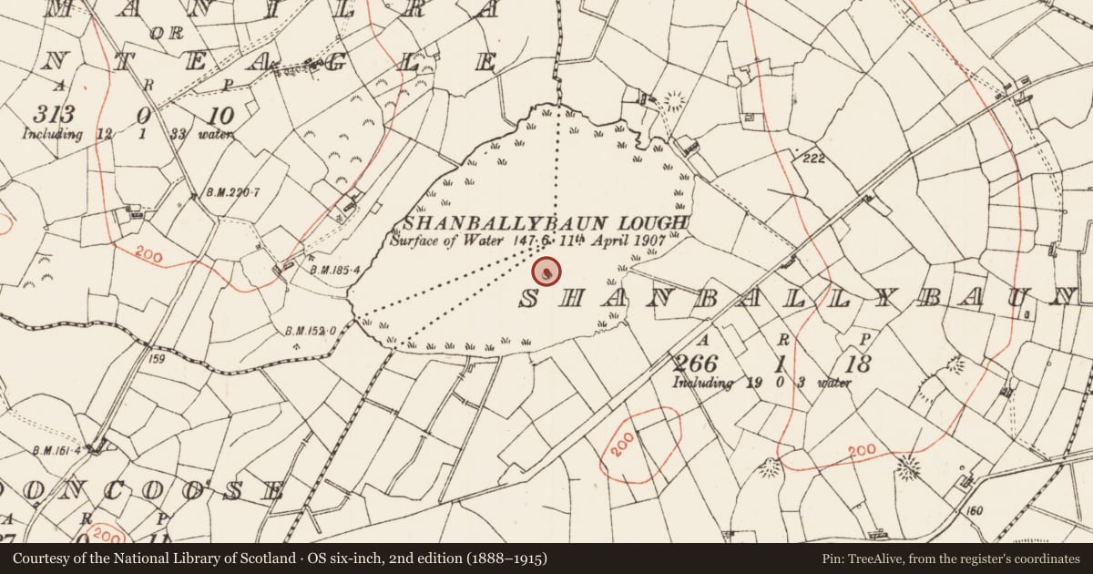 Ordnance Survey six-inch map, 2nd edition (1888–1915) covering the location of Crannog, Shanballybaun, County Roscommon, with a pin at the register's coordinates