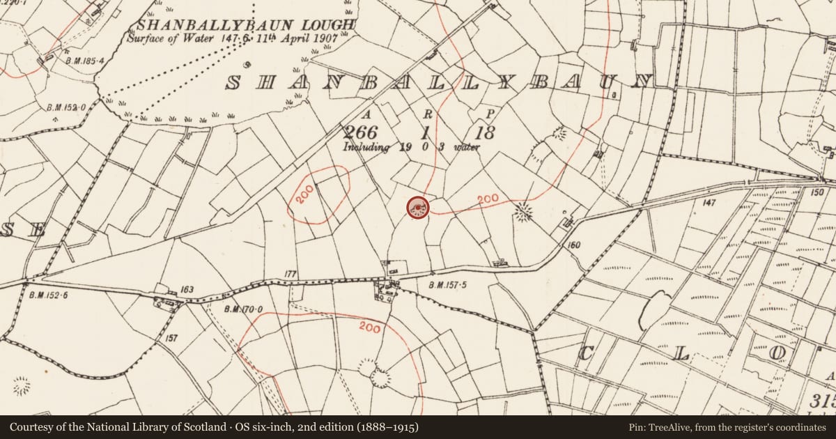 Ordnance Survey six-inch map, 2nd edition (1888–1915) covering the location of Ringfort - rath, Shanballybaun, County Roscommon, with a pin at the register's coordinates