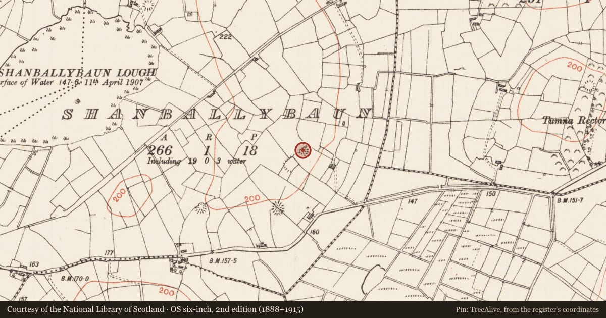 Ordnance Survey six-inch map, 2nd edition (1888–1915) covering the location of Enclosure, Shanballybaun, County Roscommon, with a pin at the register's coordinates