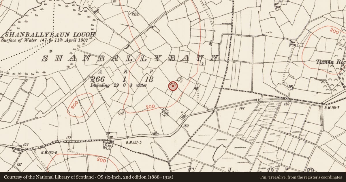 Ordnance Survey six-inch map, 2nd edition (1888–1915) covering the location of Ringfort - rath, Shanballybaun, County Roscommon, with a pin at the register's coordinates