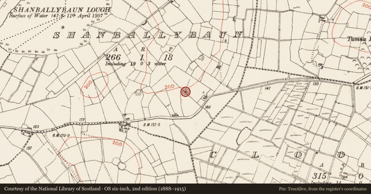 Ordnance Survey six-inch map, 2nd edition (1888–1915) covering the location of Ringfort - cashel, Shanballybaun, County Roscommon, with a pin at the register's coordinates