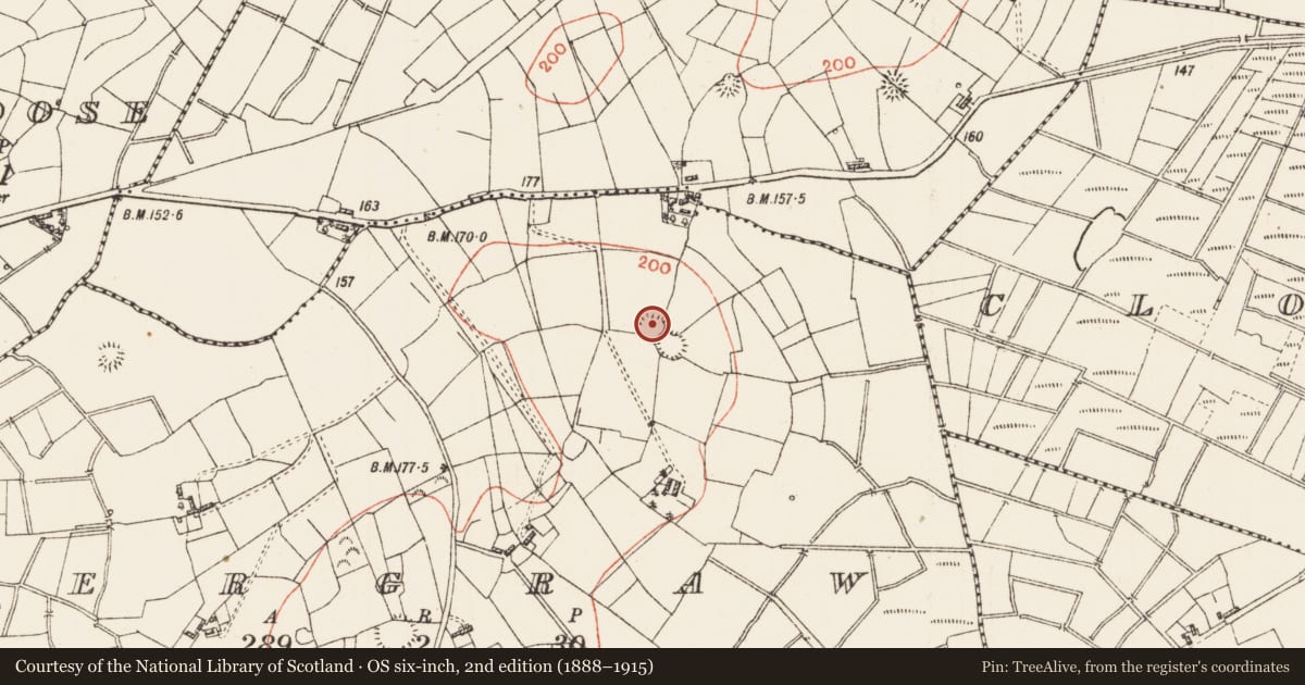 Ordnance Survey six-inch map, 2nd edition (1888–1915) covering the location of Ringfort - rath, Dergraw, County Roscommon, with a pin at the register's coordinates