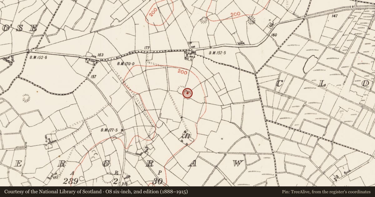 Ordnance Survey six-inch map, 2nd edition (1888–1915) covering the location of Ringfort - rath, Dergraw, County Roscommon, with a pin at the register's coordinates