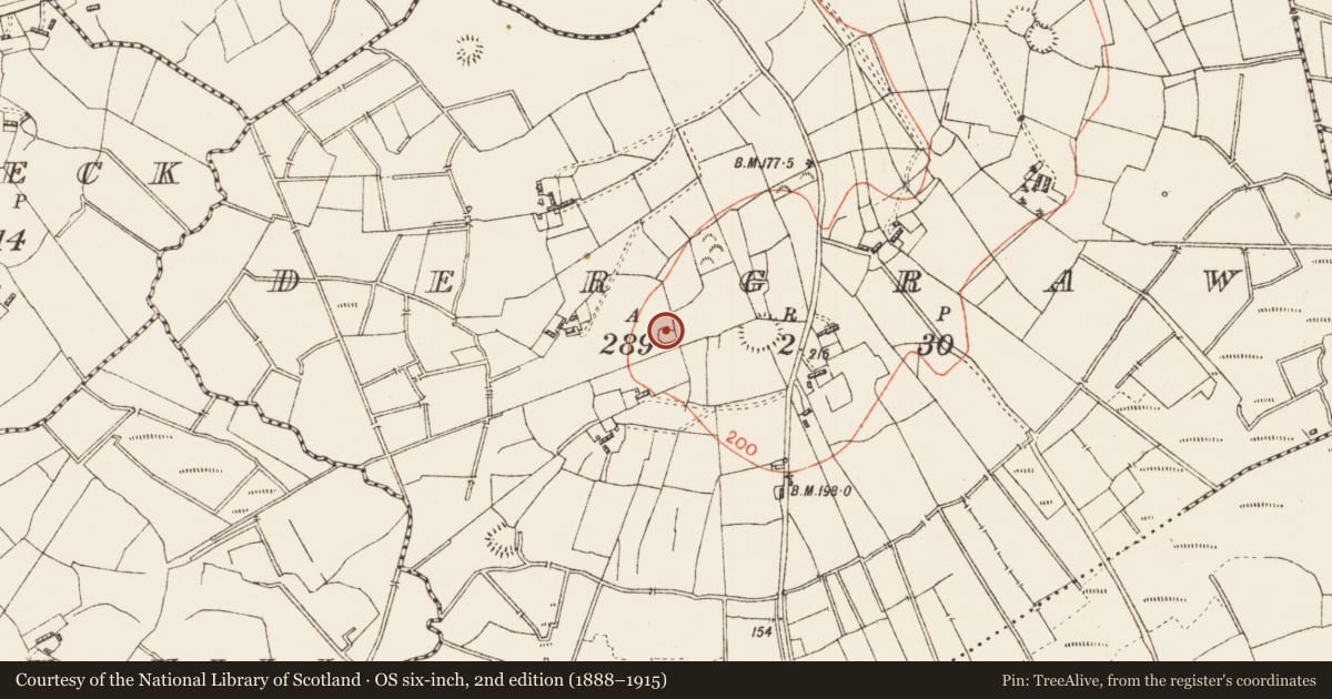Ordnance Survey six-inch map, 2nd edition (1888–1915) covering the location of Ringfort - rath, Dergraw, County Roscommon, with a pin at the register's coordinates