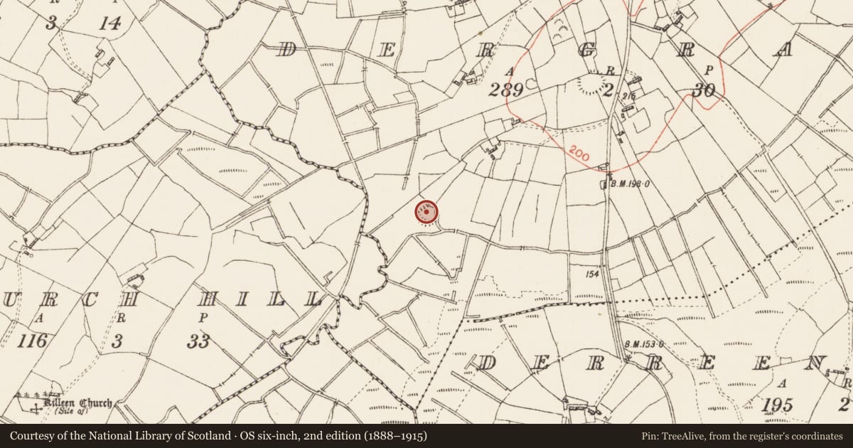 Ordnance Survey six-inch map, 2nd edition (1888–1915) covering the location of Ringfort - rath, Dergraw, County Roscommon, with a pin at the register's coordinates