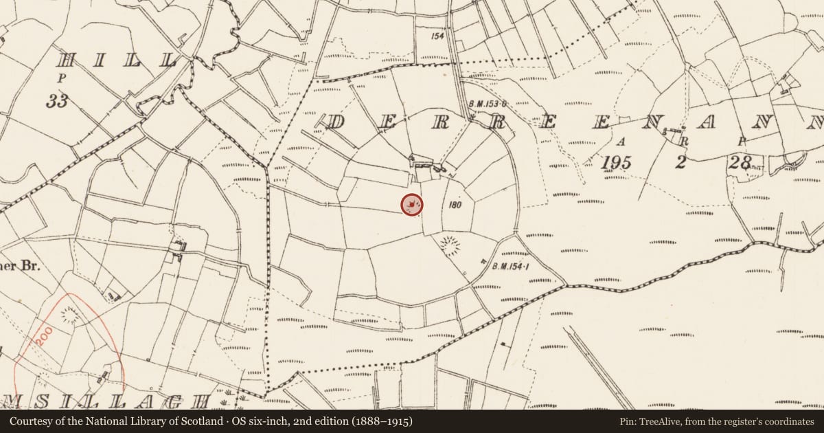 Ordnance Survey six-inch map, 2nd edition (1888–1915) covering the location of Ringfort - rath, Derreenannagh, County Roscommon, with a pin at the register's coordinates