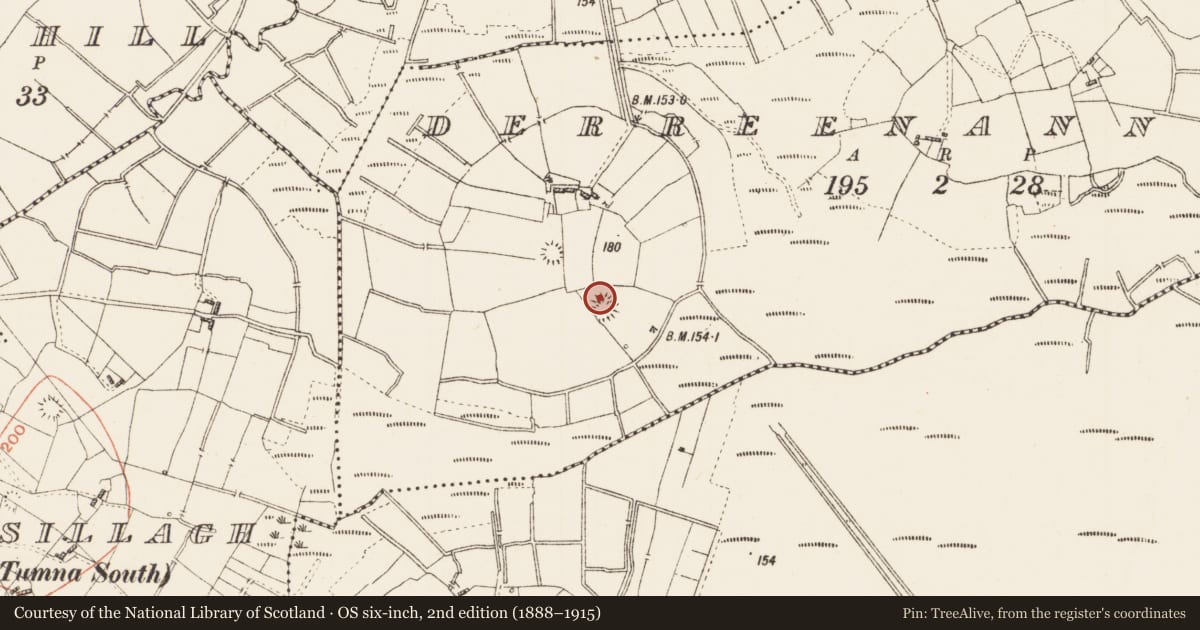 Ordnance Survey six-inch map, 2nd edition (1888–1915) covering the location of Ringfort - rath, Derreenannagh, County Roscommon, with a pin at the register's coordinates