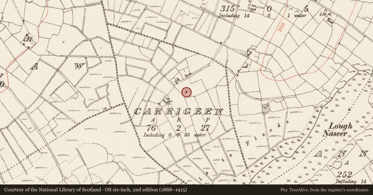 Ordnance Survey six-inch map, 2nd edition (1888–1915) covering the location of Ringfort - rath, Carrigeen, County Roscommon, with a pin at the register's coordinates