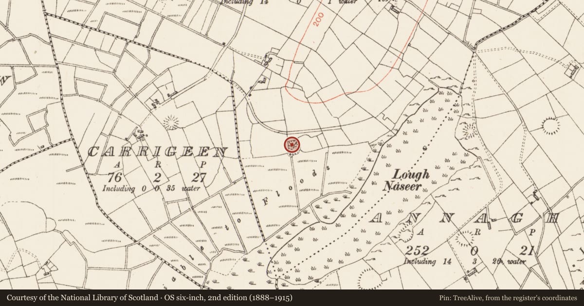 Ordnance Survey six-inch map, 2nd edition (1888–1915) covering the location of Enclosure, Cloonfad, County Roscommon, with a pin at the register's coordinates