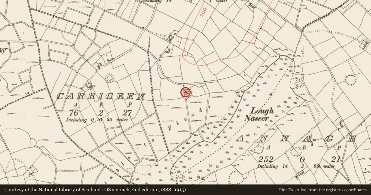 Ordnance Survey six-inch map, 2nd edition (1888–1915) covering the location of House - indeterminate date, Cloonfad, County Roscommon, with a pin at the register's coordinates