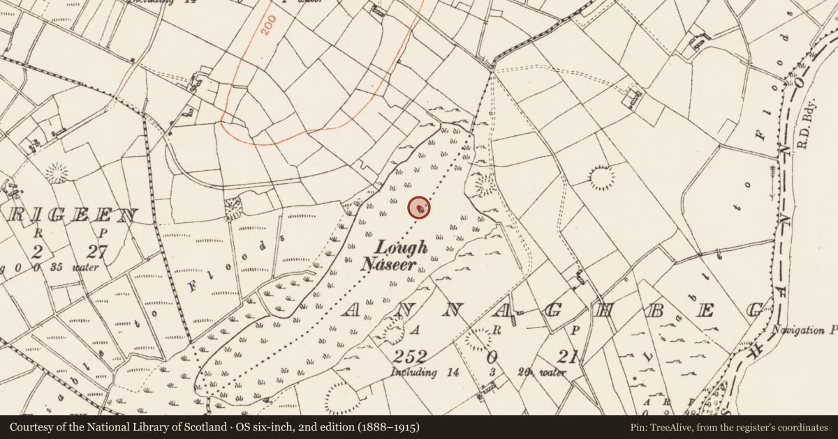 Ordnance Survey six-inch map, 2nd edition (1888–1915) covering the location of Crannog, Annaghbeg, Cloonfad, County Roscommon, with a pin at the register's coordinates
