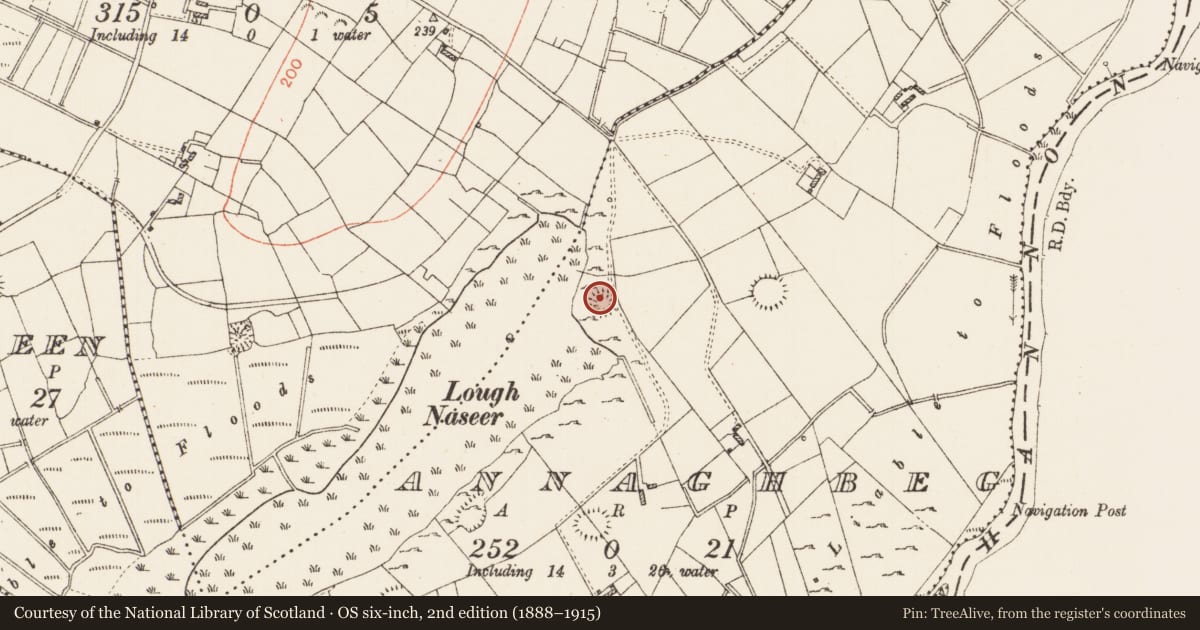 Ordnance Survey six-inch map, 2nd edition (1888–1915) covering the location of Ringfort - rath, Annaghbeg, County Roscommon, with a pin at the register's coordinates