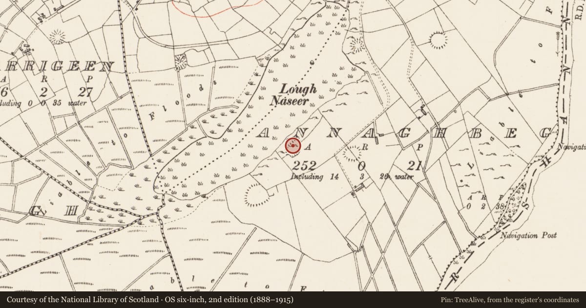 Ordnance Survey six-inch map, 2nd edition (1888–1915) covering the location of Ringfort - rath, Annaghbeg, County Roscommon, with a pin at the register's coordinates