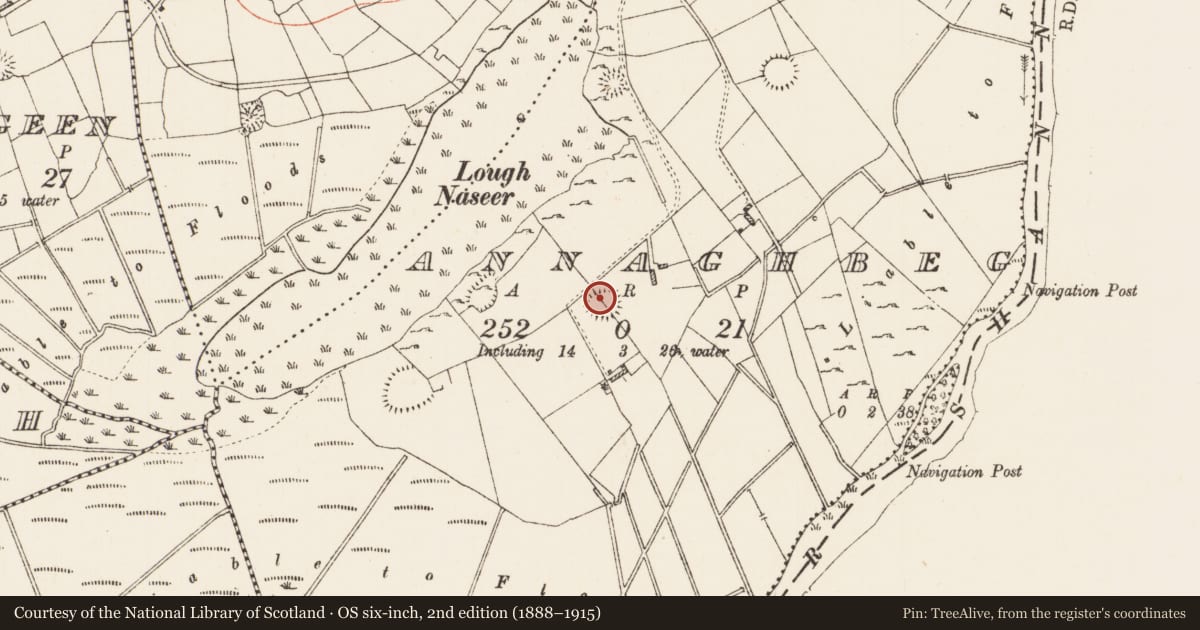 Ordnance Survey six-inch map, 2nd edition (1888–1915) covering the location of Ringfort - rath, Annaghbeg, County Roscommon, with a pin at the register's coordinates