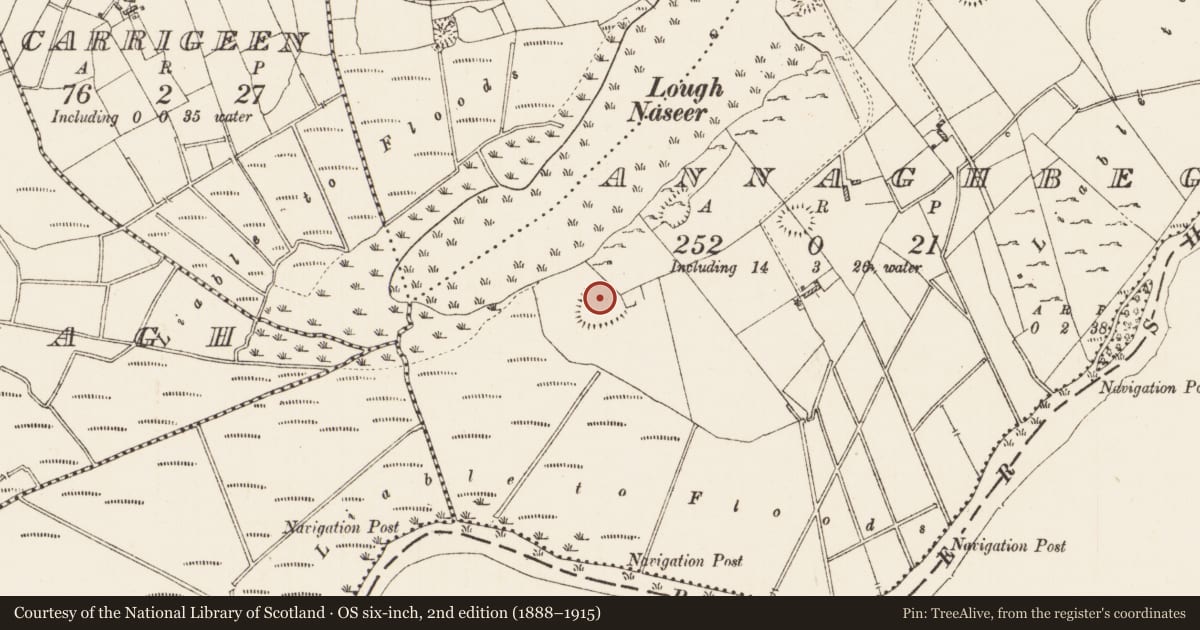 Ordnance Survey six-inch map, 2nd edition (1888–1915) covering the location of Ringfort - rath, Annaghbeg, County Roscommon, with a pin at the register's coordinates