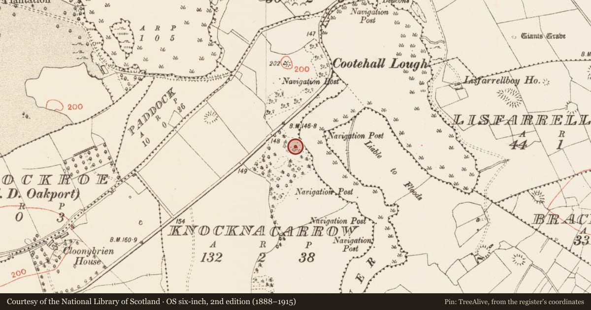 Ordnance Survey six-inch map, 2nd edition (1888–1915) covering the location of Ringfort - rath, Knocknacarrow, County Roscommon, with a pin at the register's coordinates