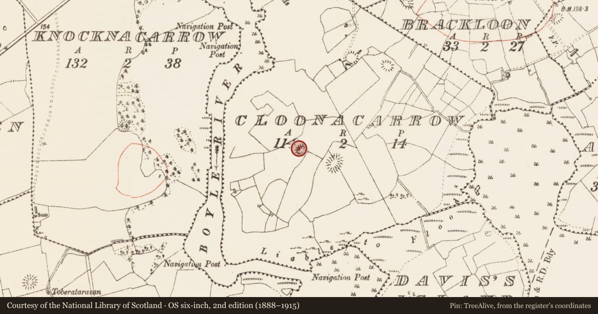 Ordnance Survey six-inch map, 2nd edition (1888–1915) covering the location of Ringfort - rath, Cloonacarrow, County Roscommon, with a pin at the register's coordinates