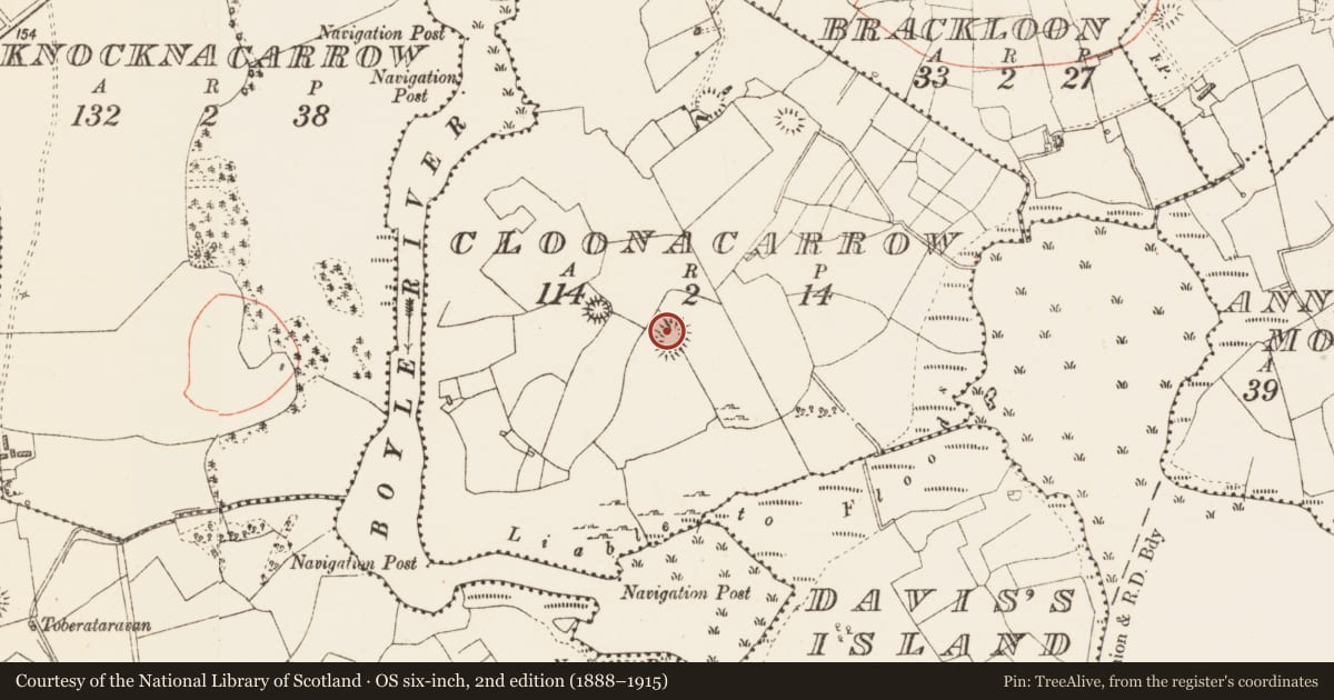 Ordnance Survey six-inch map, 2nd edition (1888–1915) covering the location of Ringfort - rath, Cloonacarrow, County Roscommon, with a pin at the register's coordinates