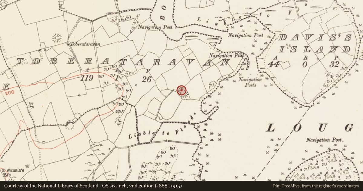 Ordnance Survey six-inch map, 2nd edition (1888–1915) covering the location of Ringfort - rath, Toberataravan, County Roscommon, with a pin at the register's coordinates