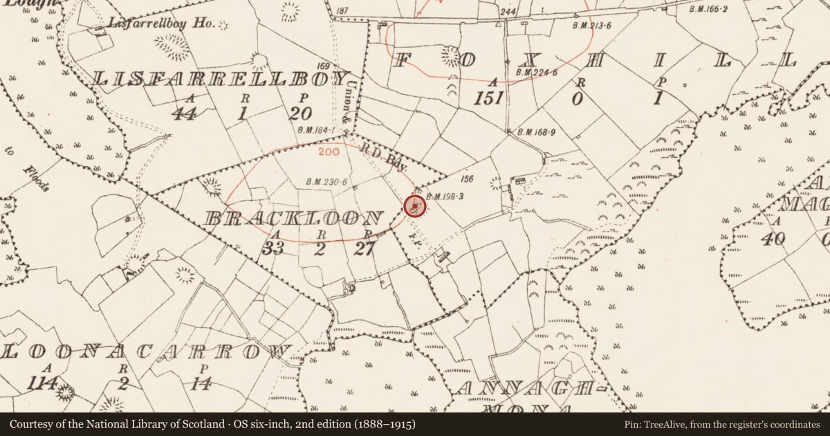 Ordnance Survey six-inch map, 2nd edition (1888–1915) covering the location of Ringfort - rath, Foxhill, County Roscommon, with a pin at the register's coordinates