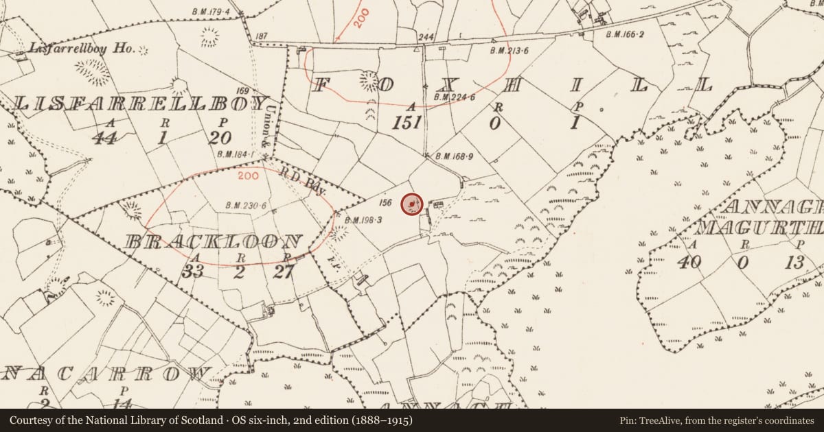 Ordnance Survey six-inch map, 2nd edition (1888–1915) covering the location of Earthwork, Foxhill, County Roscommon, with a pin at the register's coordinates