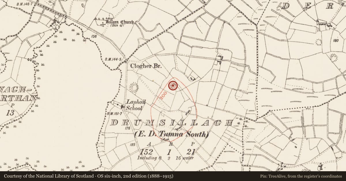 Ordnance Survey six-inch map, 2nd edition (1888–1915) covering the location of Ringfort - rath, Drumsillagh, County Roscommon, with a pin at the register's coordinates