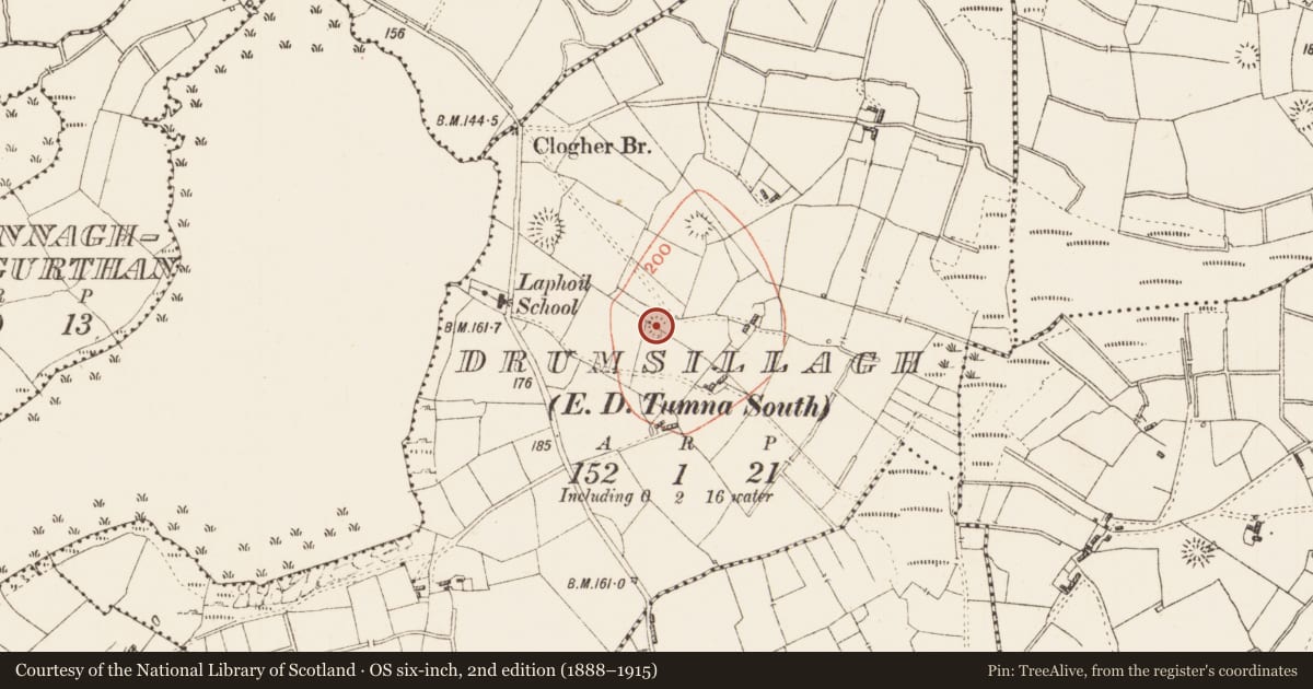 Ordnance Survey six-inch map, 2nd edition (1888–1915) covering the location of Ringfort - rath, Drumsillagh, County Roscommon, with a pin at the register's coordinates
