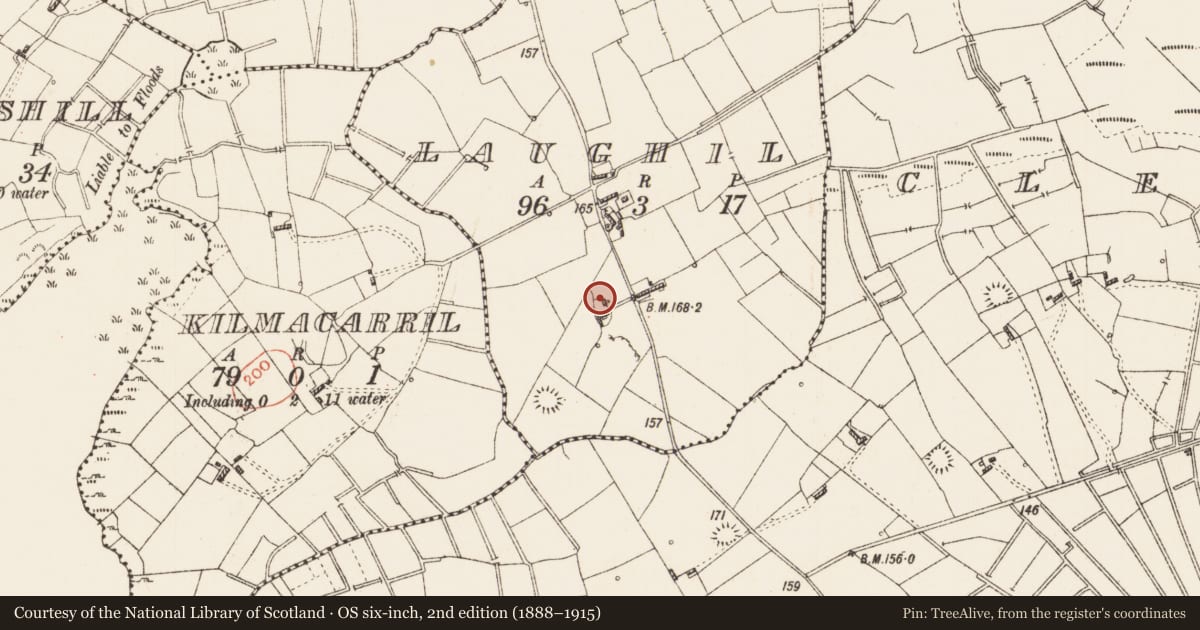 Ordnance Survey six-inch map, 2nd edition (1888–1915) covering the location of Ringfort - cashel, Laughil, County Roscommon, with a pin at the register's coordinates